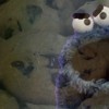 feed-monster-cookies