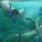 travel ideas, travel tips, inexpensive travel