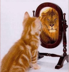 perceptions